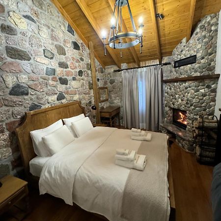 Hotel Ambassador Voskopojë エクステリア 写真